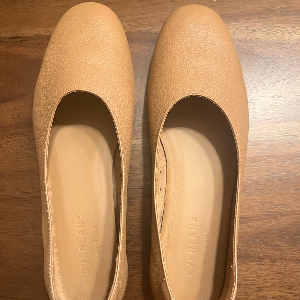 NEW Everlane “The Day Glove” Size 6.5 Tan
